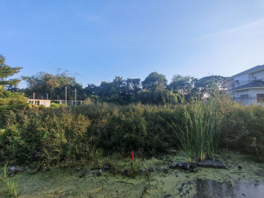 รูป ที่ดิน บางใหญ่ นนทบุรี ซอยหมู่บ้านเคหะการเกษตร 43 - รูปที่ 2/7