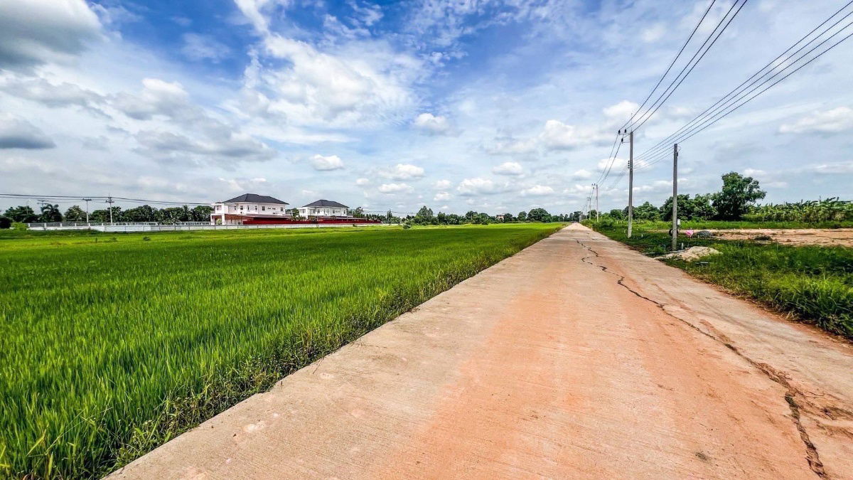 รูป ปลูกบ้านทำสวนโกดังเก็งกำไรใกล้เซเว่นซีเจมอลล์ โลตัส วัดโรงเรียนถนนคอนกรีต8.75มไร่ละ 1.45 ล้านบาทเนื้อที่ 1ไร่คลอง 11หนองเสือปทุมธานีรีบมาดูก่อน - รูปที่ 20/23