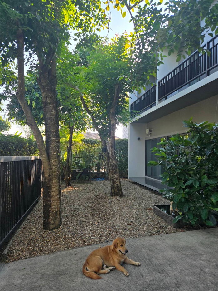 picture A two storey house for rent with 3 bedrooms,3 toilets and 1 kitchen. - 2/16