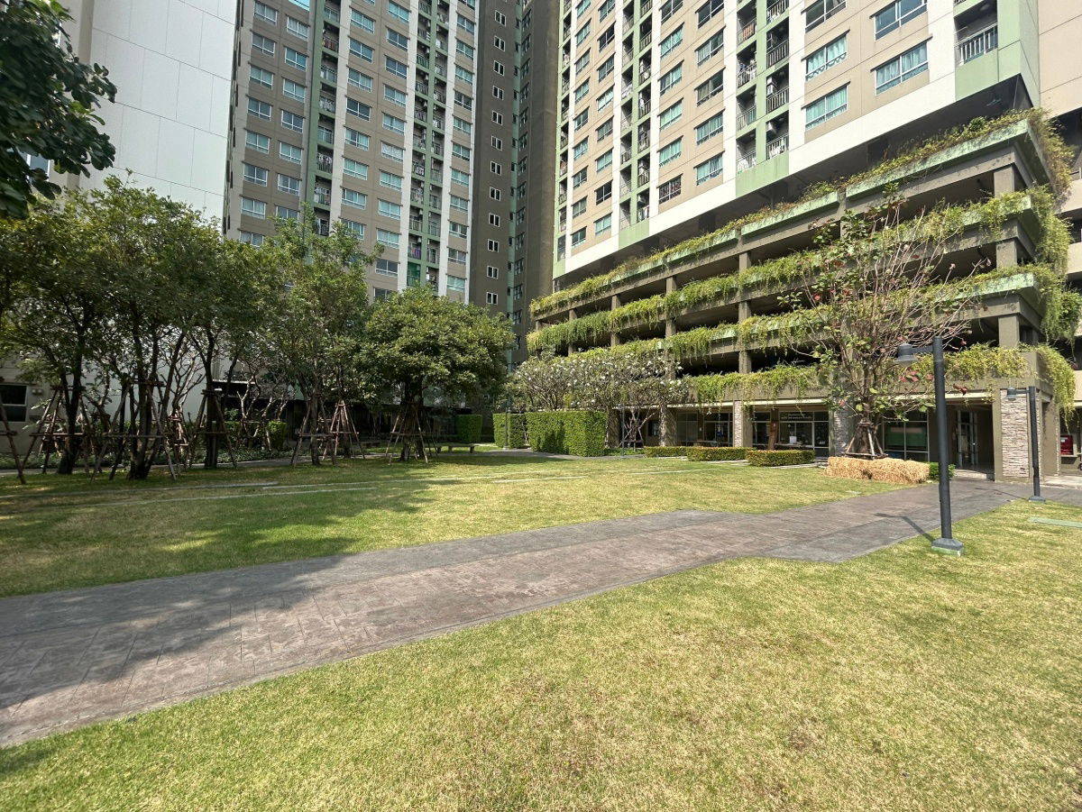 รูป JK 5549616 : ลุมพินี วิลล์ นครอินทร์ - ริเวอร์วิว - รูปที่ 12/38