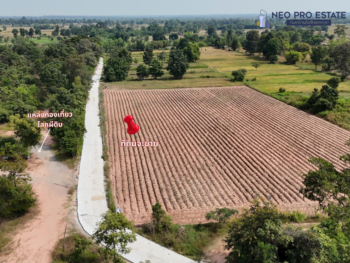 รูป ขายที่ดิน หน้ากว้าง 317 ม. | ไฟฟ้าถึง | ต.เมืองพล อ.พล จ.ขอนแก่น - รูปที่ 4/7