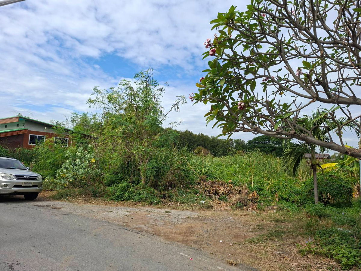 รูป ที่ดินย่านชุมชน 2 ไร่ 40 วา (840 วา) เข้าซอยบ้านคานหาม 1 เพียง 300 เมตร ซอยวัดคานหาม อยู่ในย่านชุมชน ใกล้นิคมอุตสาหกรรมโรจนะ - รูปที่ 4/13