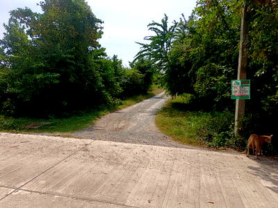 ที่ดิน หัวหิน ประจวบคีรีขันธ์ : 🏡💥 ขายที่ดินถมแล้ว – น้ำไฟครบ – ราคาต่ำสุดในโซนเดียวกัน! 📍 ต.หินเหล็กไฟ อ.หัวหิน จ.ประจวบคีรีขันธ์ เนื้อที่ 100 ตารางวา