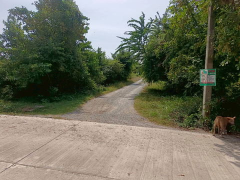 🏡💥 ขายที่ดินถมแล้ว – น้ำไฟครบ – ราคาต่ำสุดในโซนเดียวกัน! 📍 ต.หินเหล็กไฟ อ.หัวหิน จ.ประจวบคีรีขันธ์ เนื้อที่ 100 ตารางวา