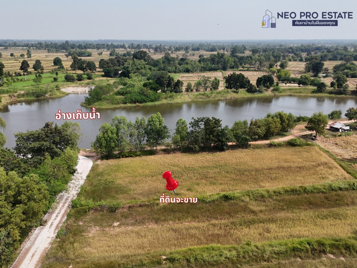 รูป ขายที่ดิน หน้ากว้าง 317 ม. | ไฟฟ้าถึง | ต.เมืองพล อ.พล จ.ขอนแก่น - รูปที่ 5/7