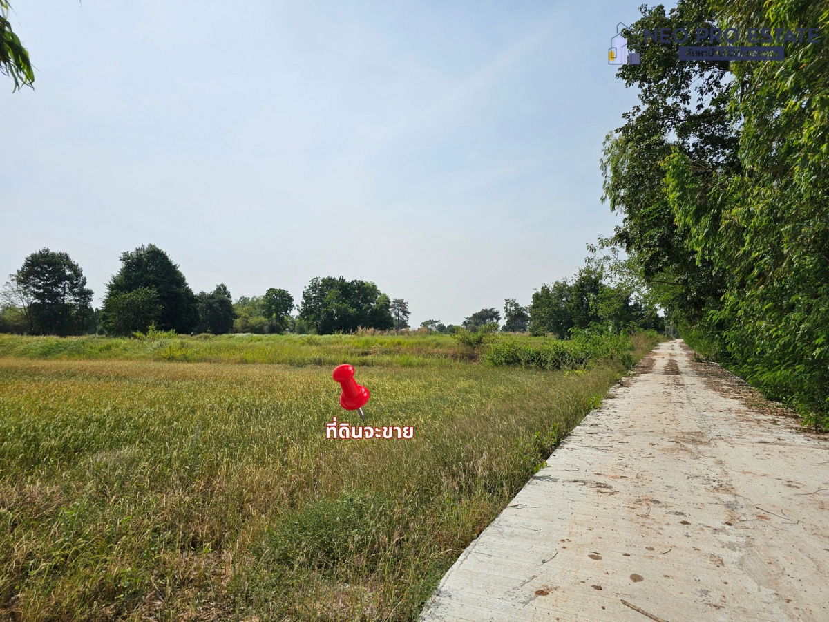 รูป ขายที่ดิน หน้ากว้าง 317 ม. | ไฟฟ้าถึง | ต.เมืองพล อ.พล จ.ขอนแก่น - รูปที่ 7/7