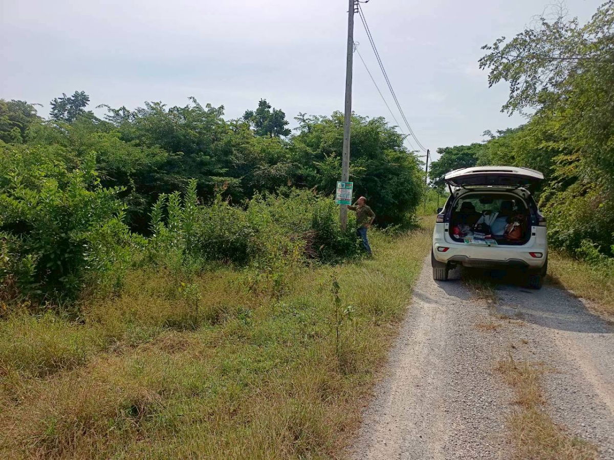 รูป 🏡💥 ขายที่ดินถมแล้ว – น้ำไฟครบ – ราคาต่ำสุดในโซนเดียวกัน! 📍 ต.หินเหล็กไฟ อ.หัวหิน จ.ประจวบคีรีขันธ์ เนื้อที่ 100 ตารางวา - รูปที่ 5/13