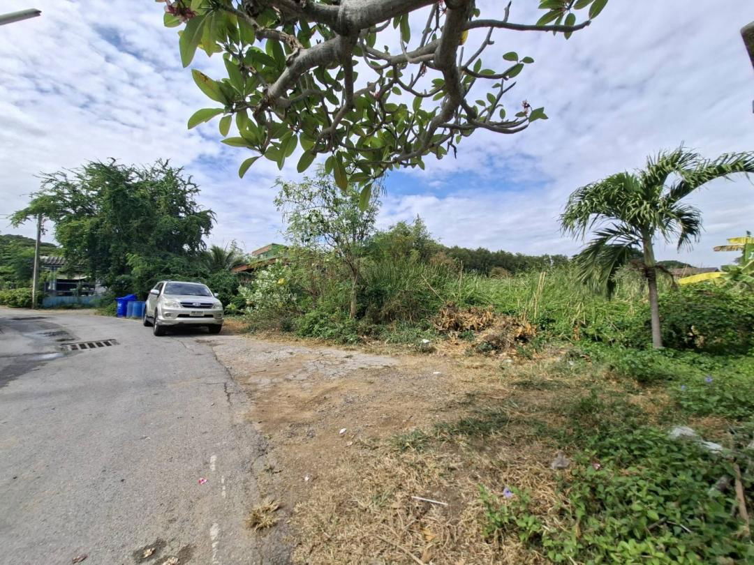 รูป ที่ดินย่านชุมชน 2 ไร่ 40 วา (840 วา) เข้าซอยบ้านคานหาม 1 เพียง 300 เมตร ซอยวัดคานหาม อยู่ในย่านชุมชน ใกล้นิคมอุตสาหกรรมโรจนะ - รูปที่ 8/13