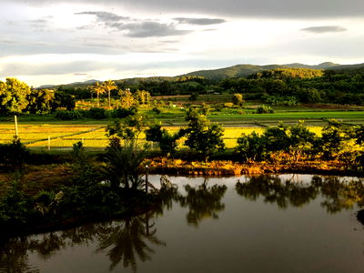 บ้านเดี่ยว เชียงใหม่ : ขายบ้านสวน แม่แตง-แม่ริม เชียงใหม่ ติดลำน้ำแม่ริม เชิงทางขึ้นวัดพระพุทธบาทสี่รอย 