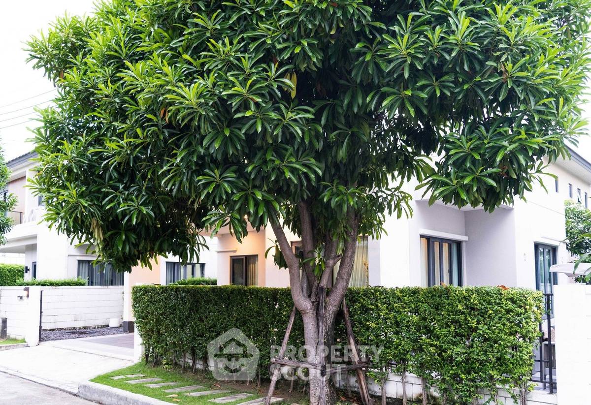 รูป บ้าน 4-ห้องนอน ที่ เซนโทร อ่อนนุช-สุวรรณภูมิ ใกล้ ท่าอากาศยานสุวรรณภูมิ (ID 2467097) - รูปที่ 20/20