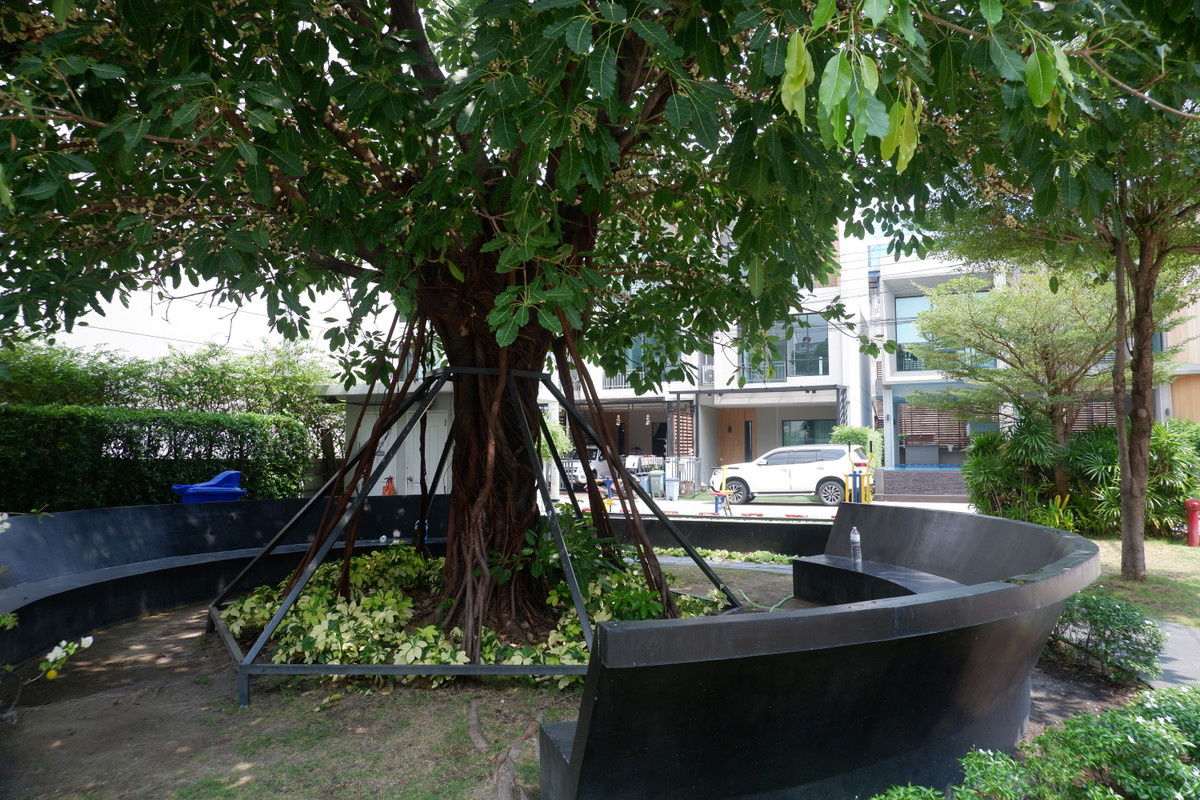 รูป 💥CP-9569💥ให้เช่า ทาวน์โฮม หัวมุม โครงการ เดอะ แคนวาส สุขุมวิท - สำโรง 👉แอดไลน์ @seecondo - รูปที่ 34/39