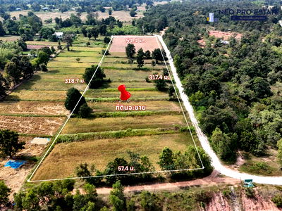 ที่ดิน ขอนแก่น : ขายที่ดิน หน้ากว้าง 317 ม. | ไฟฟ้าถึง | ต.เมืองพล อ.พล จ.ขอนแก่น