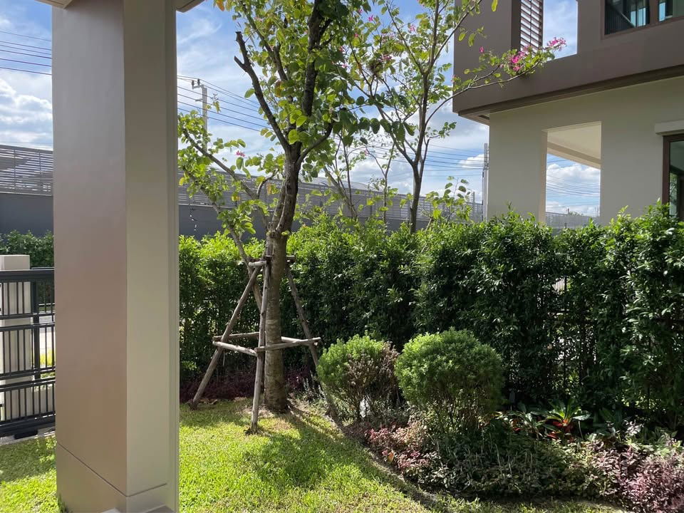 รูป RS3863 ให้เช่าบ้านเดี่ยวหรู โครงการบุราสิริ กรุงเทพกรีฑา ใกล้ BTS อุดมสุข - รูปที่ 22/24