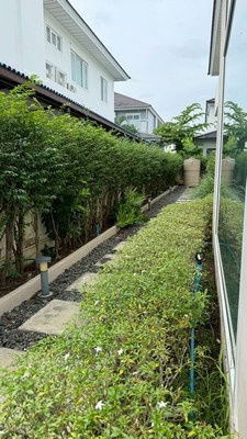 picture svs297 2-story detached house for rent at Perfect Masterpiece Sukhumvit 77. - 6/26