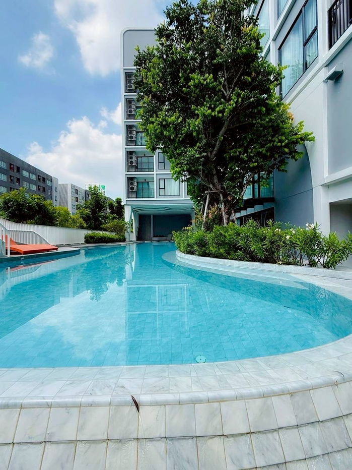 รูป 📌Kave Seed Kaset 📌 ห้องใหม่ไม่เคยปล่อยเช่า 1 ห้องนอน ราคา 16,000 🎉 - รูปที่ 19/20