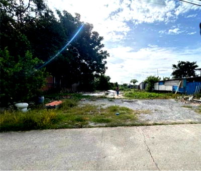 ที่ดิน โลตัส โกเฟรช หมู่บ้านพฤกษา 3 : ขายที่ดิน ซอยวัดลาดปลาดุก จ.นนทบุรี