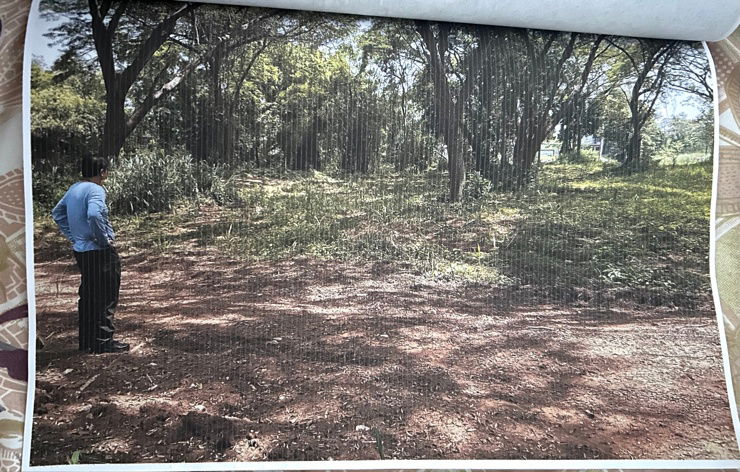 รูป ขายที่ดิน อ.ปากช่อง จ.นครราชสีมา - รูปที่ 4/5