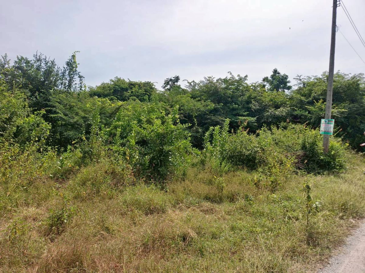 รูป 🏡💥 ขายที่ดินถมแล้ว – น้ำไฟครบ – ราคาต่ำสุดในโซนเดียวกัน! 📍 ต.หินเหล็กไฟ อ.หัวหิน จ.ประจวบคีรีขันธ์ เนื้อที่ 100 ตารางวา - รูปที่ 10/13
