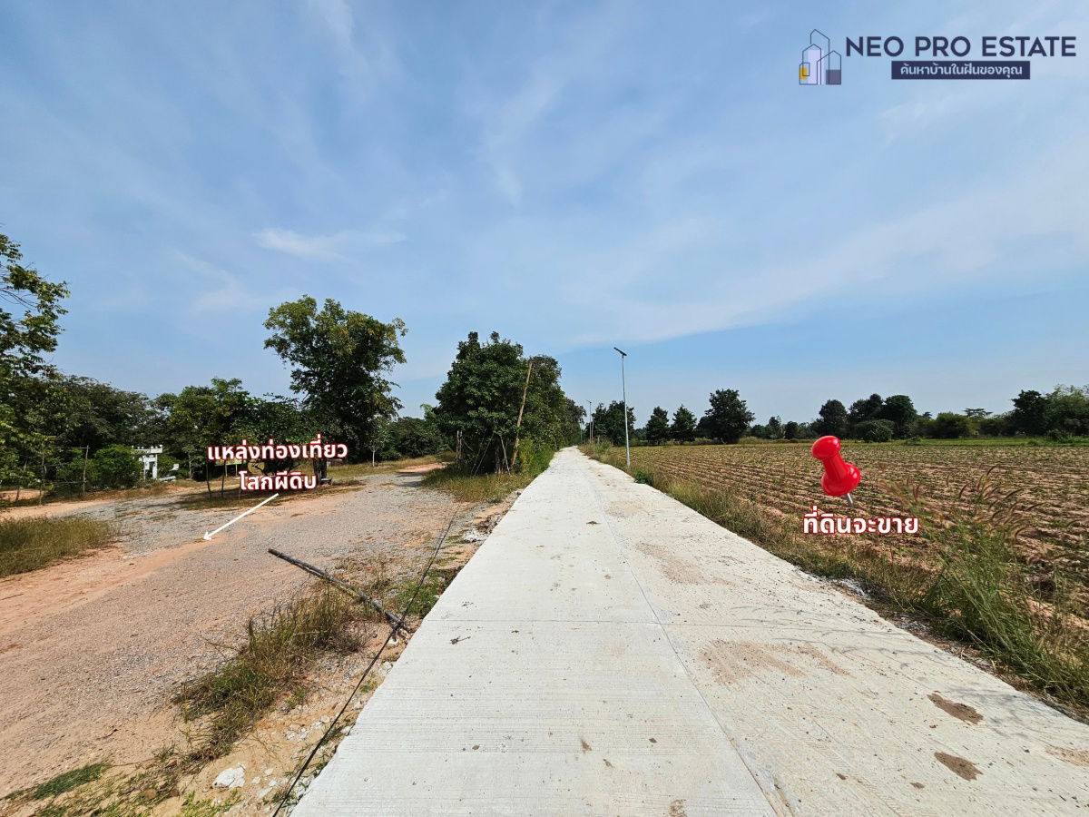 รูป ขายที่ดิน หน้ากว้าง 317 ม. | ไฟฟ้าถึง | ต.เมืองพล อ.พล จ.ขอนแก่น - รูปที่ 6/7