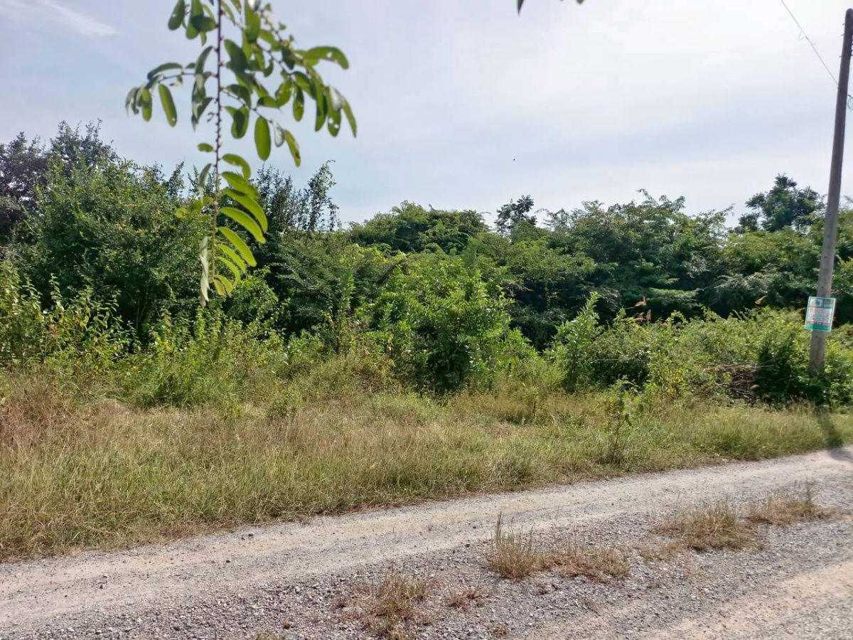 รูป 🏡💥 ขายที่ดินถมแล้ว – น้ำไฟครบ – ราคาต่ำสุดในโซนเดียวกัน! 📍 ต.หินเหล็กไฟ อ.หัวหิน จ.ประจวบคีรีขันธ์ เนื้อที่ 100 ตารางวา - รูปที่ 6/13