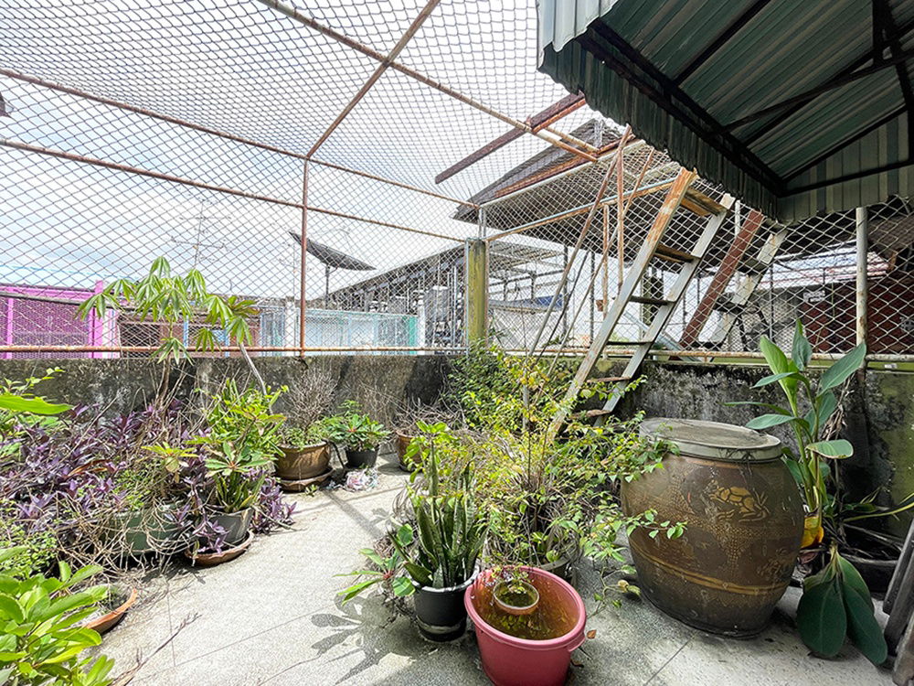 รูป OEC 86370 – ขายอาคารพาณิชย์ 4 ชั้น ถนนตะนาว พระนคร เหมาะทำธุรกิจและ อยู่อาศัย - รูปที่ 5/8