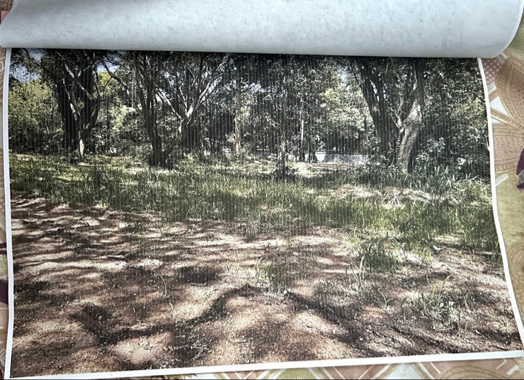 รูป ขายที่ดิน อ.ปากช่อง จ.นครราชสีมา - รูปที่ 5/5