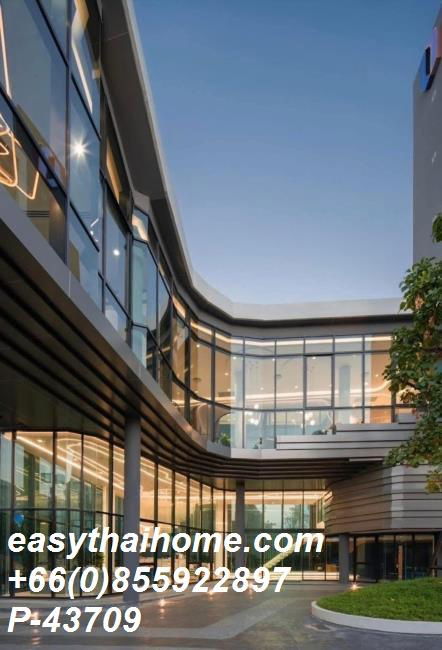 picture P-43709 Condo for rent The Origin Sukhumvit 105 fully furnished (Confirm again when visit).  - 7/22