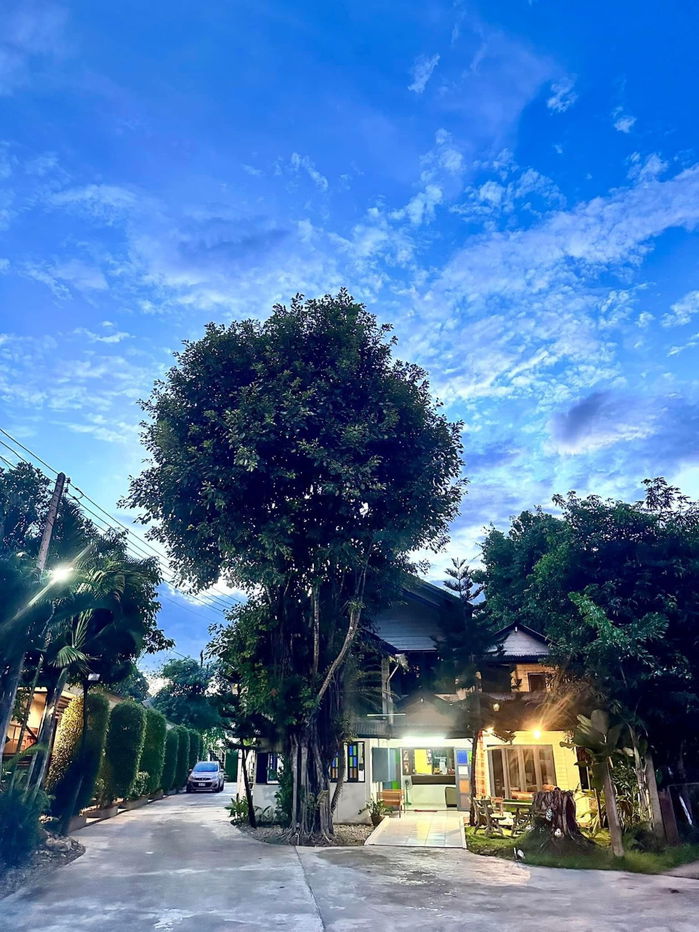 picture Hotel business for sale, ready to continue operations, prime location! Nan Province - 1/9