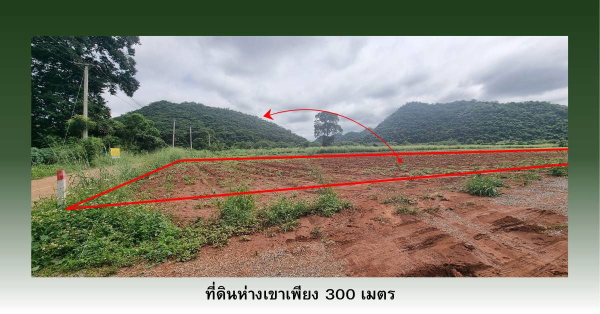 รูป ขายที่ดินจัดสรร หนองน้ำแดง ปากช่อง วิวเขา 360 องศา สาธารณูปโภคครบ พร้อมปลูกสร้างทันที 8500 ต่อ ตารางวา - รูปที่ 10/12