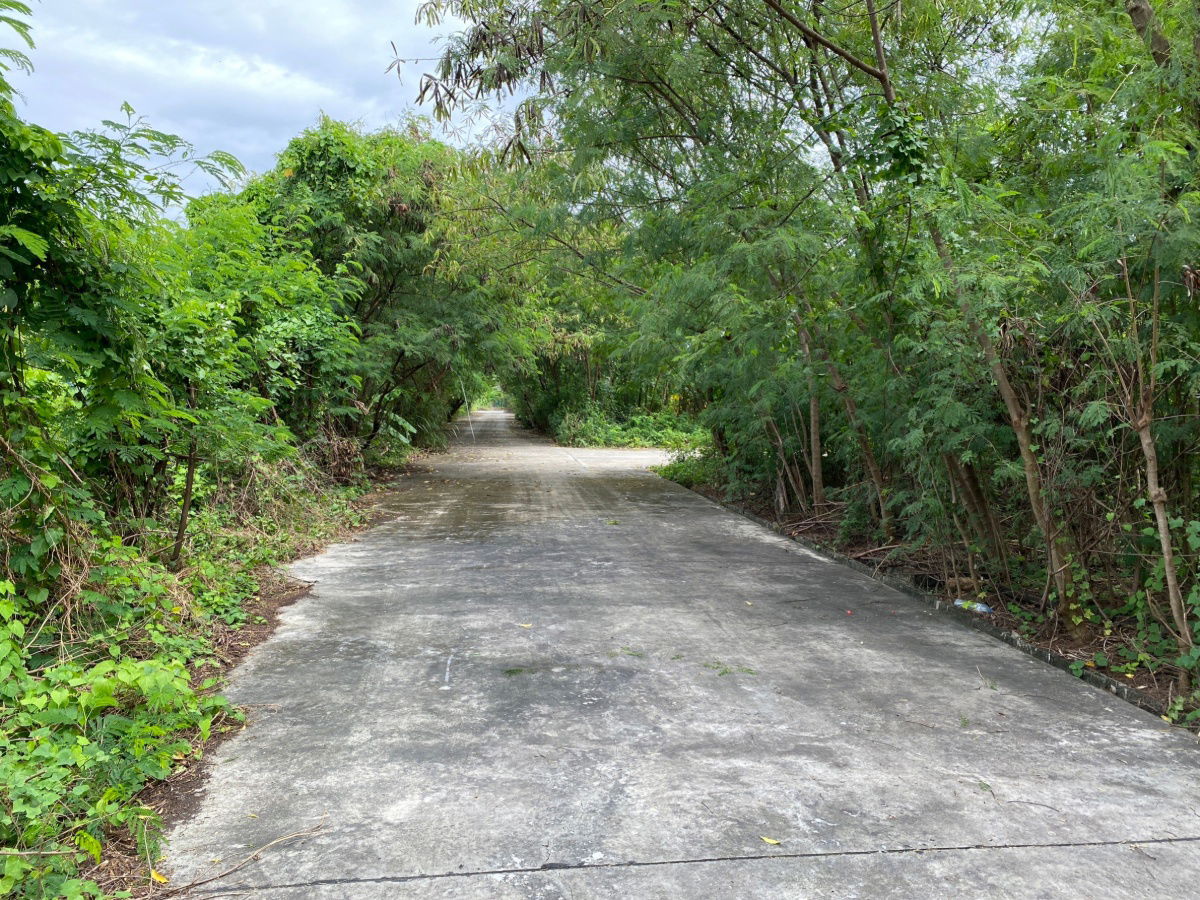 รูป ที่ดินพุทธมณฑลสาย 2 ซอย 10 ติดถนนสาธารณะ - รูปที่ 2/5