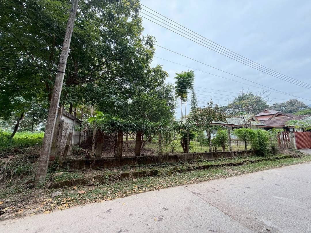 picture 100 square wah land for sale behind Wat Ram Ping. 5.9 million baht, - 4/8
