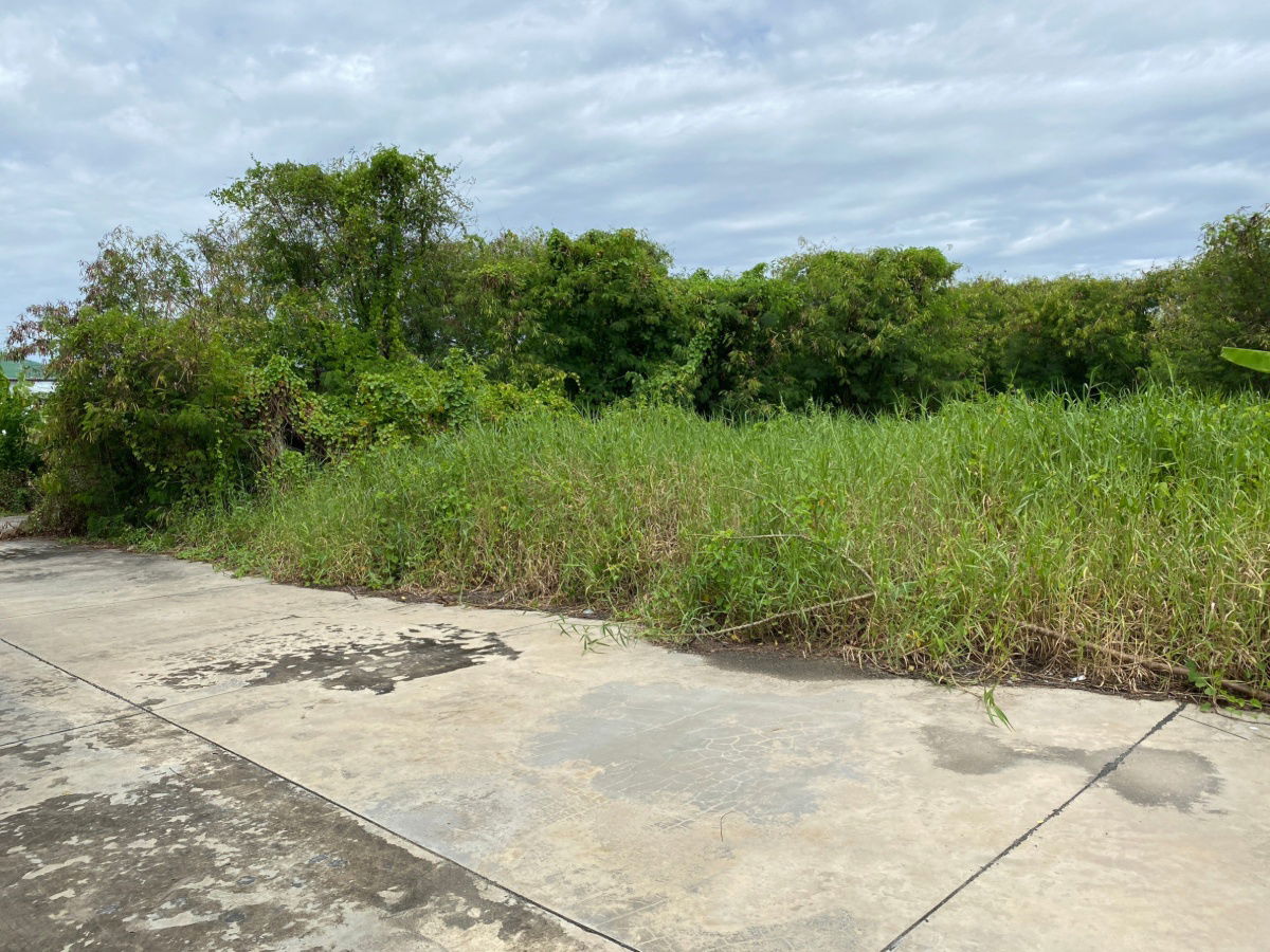 รูป ที่ดินพุทธมณฑลสาย 2 ซอย 10 ติดถนนสาธารณะ - รูปที่ 3/5