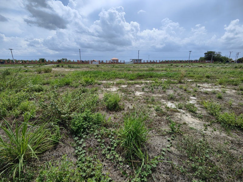 รูป ขายที่ดิน 1 ไร่ เหมาะกับการสร้างบ้าน ทำเลดี ใกล้สนามกอล์ฟแบล็คเมาน์เทน - รูปที่ 11/12