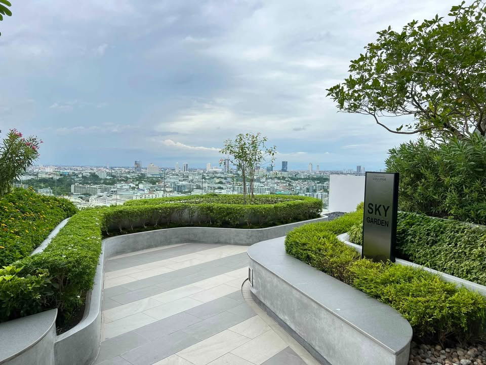 picture Condo for Rent at Knights Bridge Collage Sukhumvit 107 (F6812024) ID Line : @condo44 - 6/6