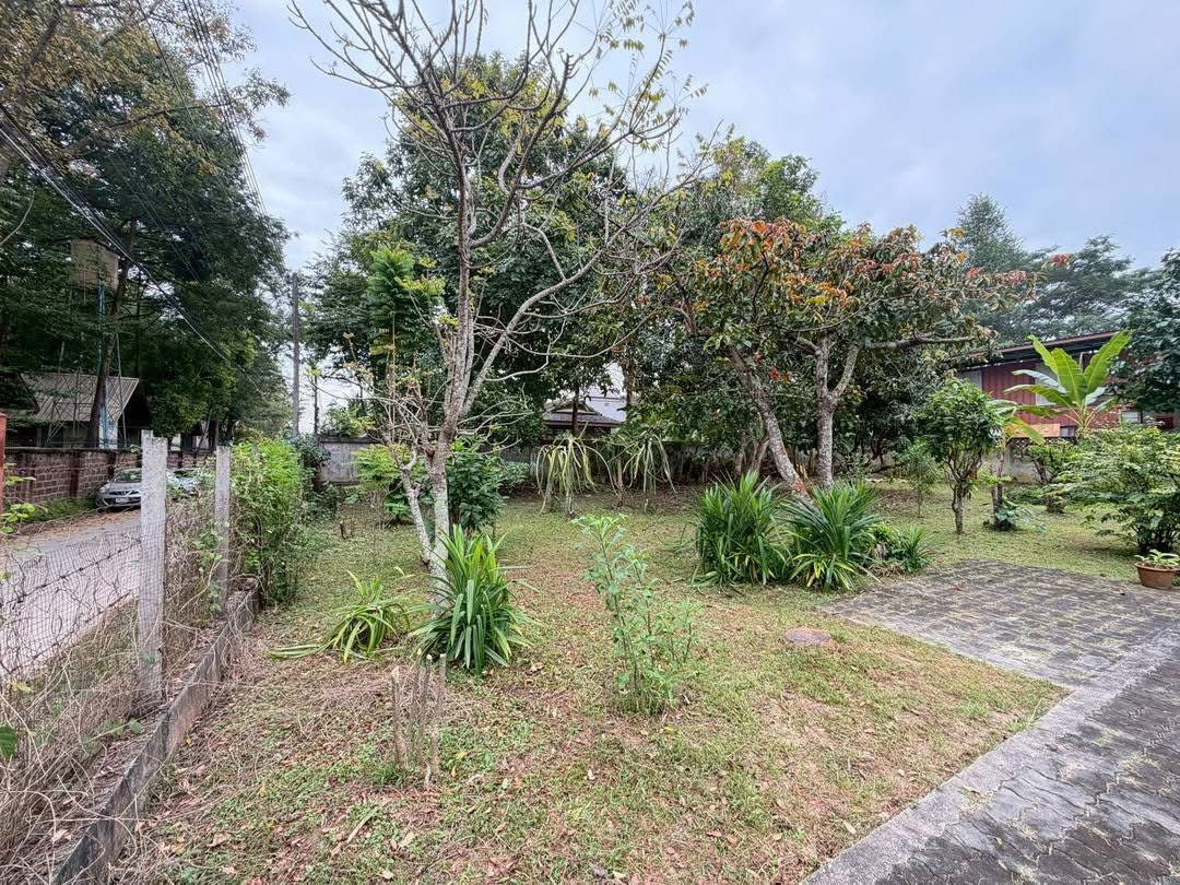 picture 100 square wah land for sale behind Wat Ram Ping. 5.9 million baht, - 2/8