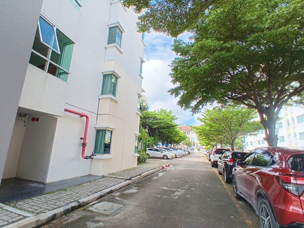 รูป  ขายThe Rise Condominium B1 ขนาด 1 ห้องนอน 1 ห้องนั่งเล่น 1 ห้องน้ำเนื้อที่ 33.02 ตารางเมตร - รูปที่ 14/18