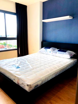 คอนโดให้เช่า : ✅IDEO New Rama9 ชั้น 10 เช่า 14000 บาท กั้นนอน 1 ห้องนอน 1 ห้องน้ำ 32 ตรม. วิวสระ โทร 0945603437