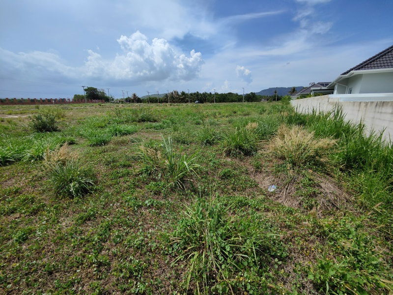 รูป ขายที่ดิน 1 ไร่ เหมาะกับการสร้างบ้าน ทำเลดี ใกล้สนามกอล์ฟแบล็คเมาน์เทน - รูปที่ 6/12