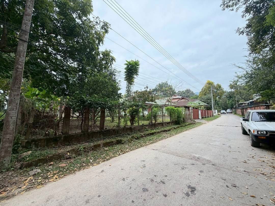 picture 100 square wah land for sale behind Wat Ram Ping. 5.9 million baht, - 8/8