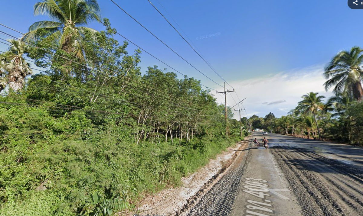 รูป ขายด่วน ที่ดินแปลงสวย บางแก้วพัทลุง ติดถนน เหมาะสร้างบ้าน ขนาด 1 ไร่ 3 งาน 95 ตารางวา ขายรวม 3.050 ล้าน  - รูปที่ 5/9