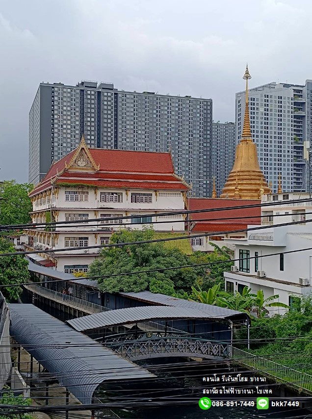 picture FOR RENT: Regent Home Bangna Bld.A 28 Sq.m.-9,500 B/M (New) - 14/17