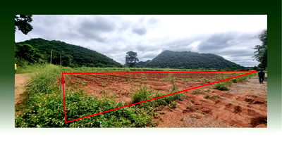 ที่ดิน ปากช่อง โคราช : ขายที่ดินจัดสรร หนองน้ำแดง ปากช่อง วิวเขา 360 องศา สาธารณูปโภคครบ พร้อมปลูกสร้างทันที 8500 ต่อ ตารางวา