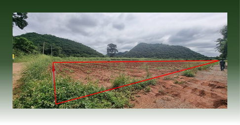 ขายที่ดินจัดสรร หนองน้ำแดง ปากช่อง วิวเขา 360 องศา สาธารณูปโภคครบ พร้อมปลูกสร้างทันที 8500 ต่อ ตารางวา