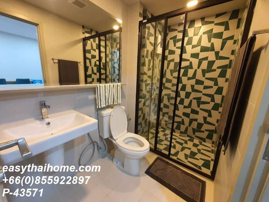 picture P-43571 Condo for rent THE BASE Sukhumvit 50 fully furnished (Confirm again when visit). - 5/5