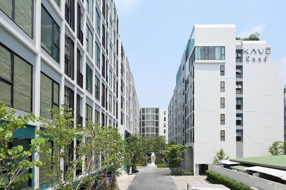 picture Kave Seed Kaset – Owner Direct Listing 🌱 - 20/20