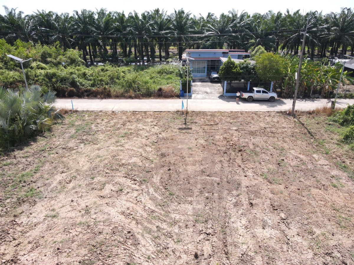 รูป ขายที่ดินคลอง 11 หนองเสือ ปทุมธานี ที่ดินถมแล้ว พร้อมสร้าง ราคาถูก - รูปที่ 7/10