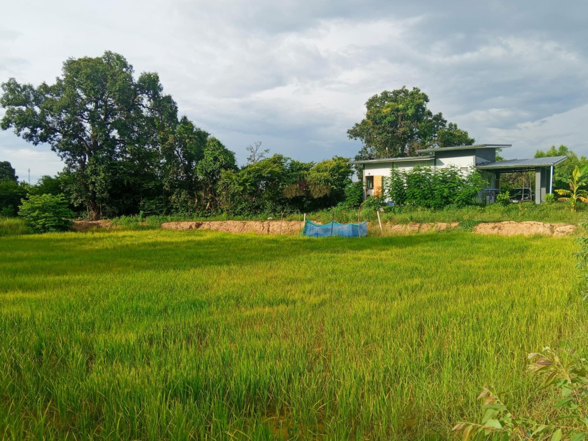 รูป ขายบ้านพร้อมที่ดิน 1 ไร่ 2 งาน 50 ตรว.  - รูปที่ 4/7