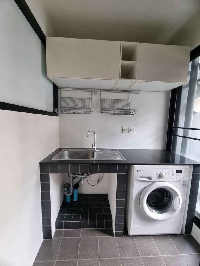 picture (19818) Project name The Seed Mingle - 5/9