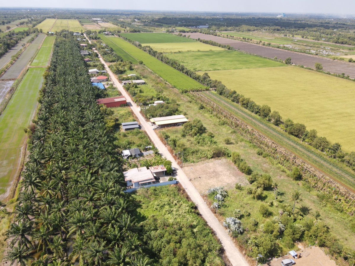 รูป ขายที่ดินคลอง 11 หนองเสือ ปทุมธานี ที่ดินถมแล้ว พร้อมสร้าง ราคาถูก - รูปที่ 5/10