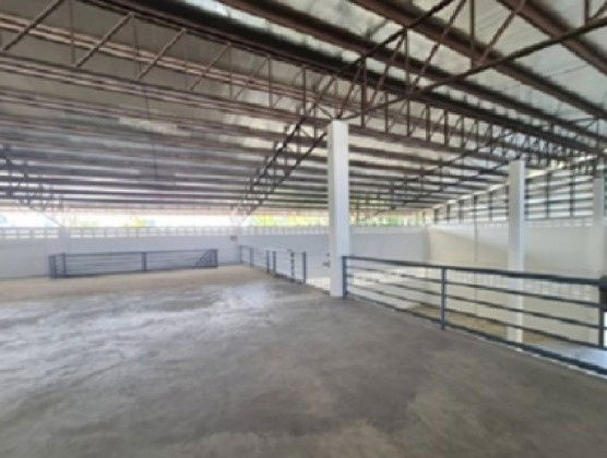 รูป ให้เช่าโกดังพร้อมสำนักงาน พื้นที่ 1400 ตารางเมตร ซอยอ่อนนุช 66 / สิบล้อ เข้าออกได้ - รูปที่ 8/19